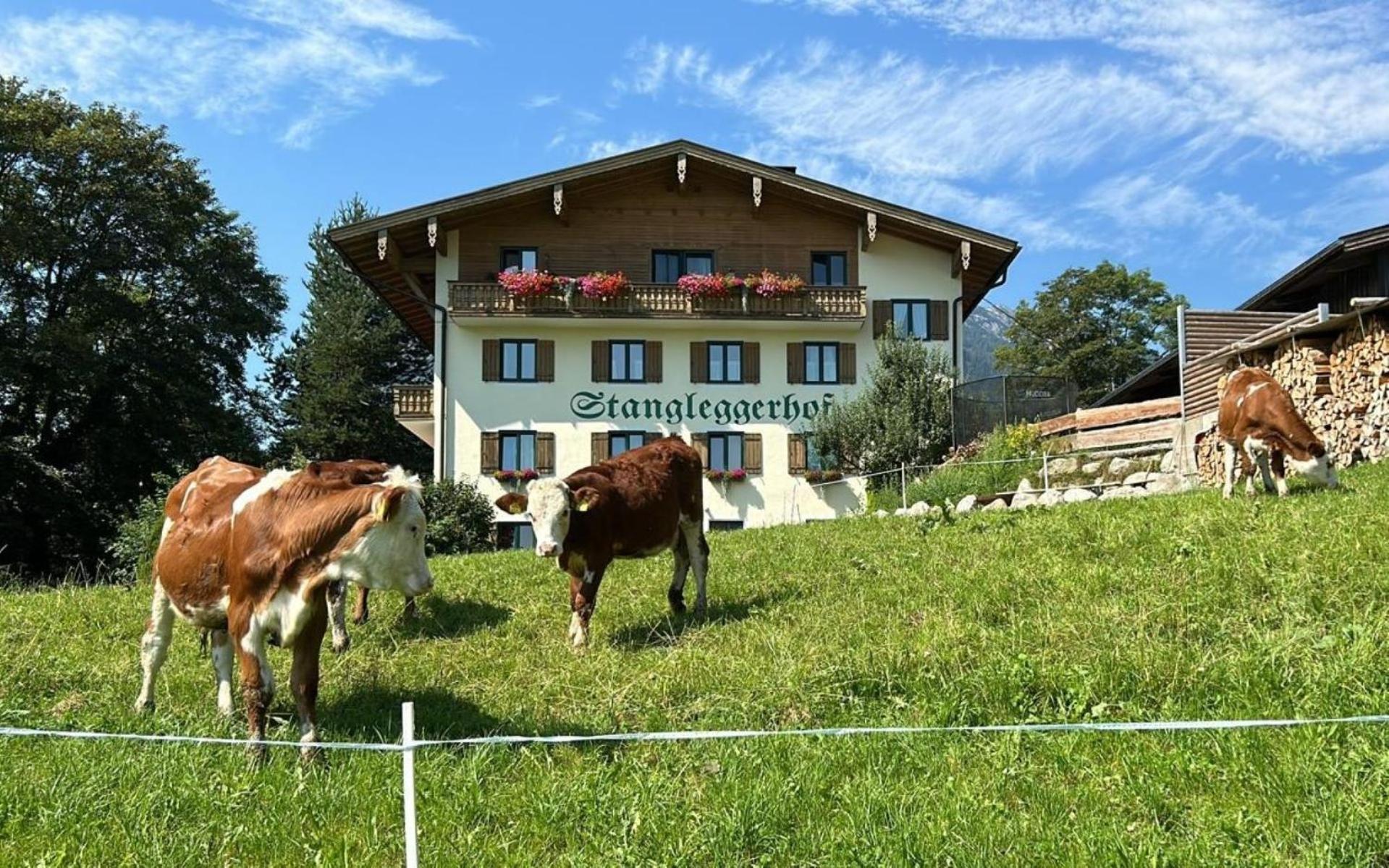 Stangleggerhof Villa Wiesing Exterior photo